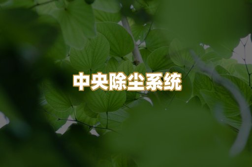 中央除尘系统