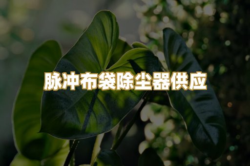 脉冲布袋除尘器供应